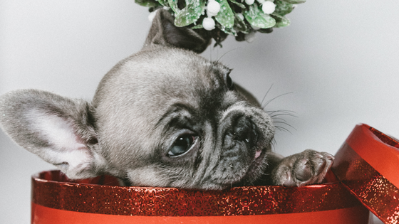 5-Creative-Ways-to-Engage-Consumers-and-Boost-Sales-Over-the-Holidays